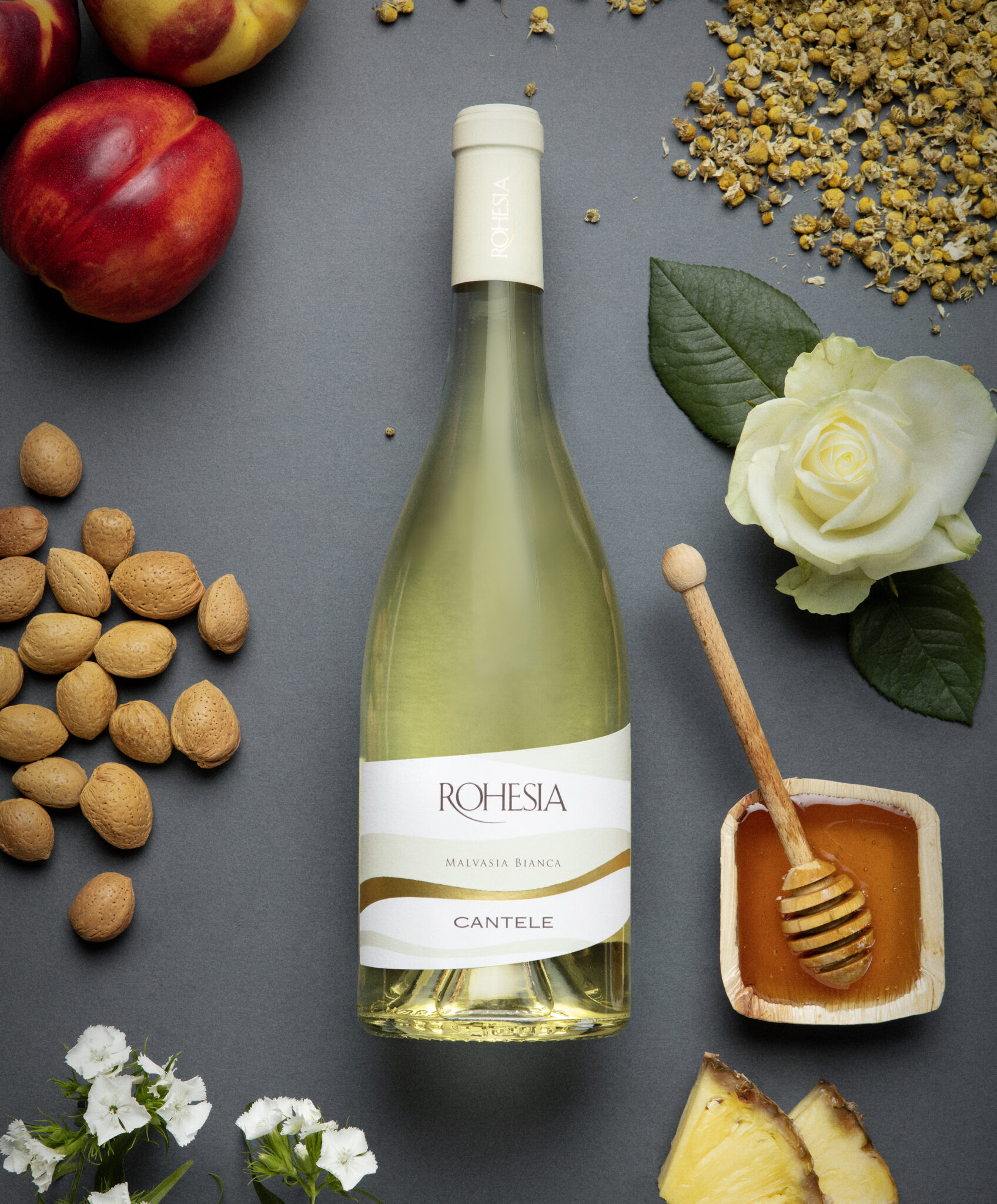 testing_WhiteRohesiaMalvasia